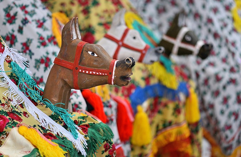 Fot. Lucjusz Cykarski