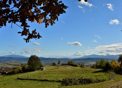 Miejski szlak spacerowy na Jaworzynę 
