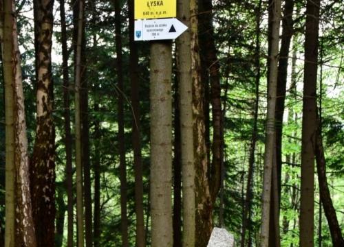 Miejski Szlak Spacerowy na Łyskę