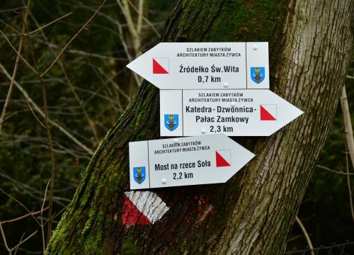 Żywiec dla Aktywnych