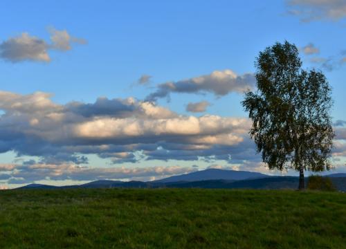 Miejski szlak spacerowy na Jaworzynę 