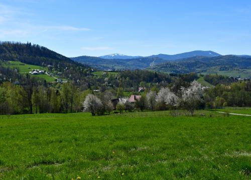 Miejski Szlak Spacerowy na Łyskę