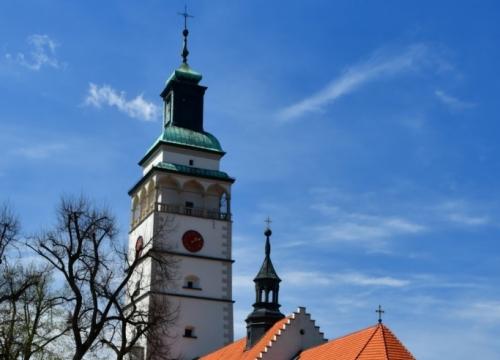 Żywiec dla Aktywnych