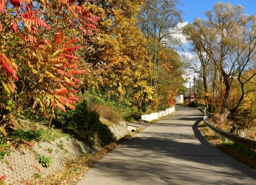 Miejski szlak spacerowy na Jaworzynę 